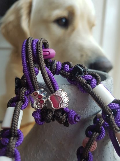 anti tekenketting hond