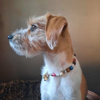 keesie-met-tekenketting